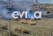 Φωτιά-σε-δασική-έκταση-στην-Κάρυστο