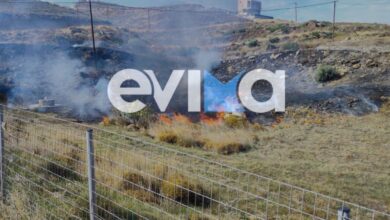 Φωτιά-σε-δασική-έκταση-στην-Κάρυστο