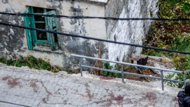 Βορίζια:-«Άδειασε-δύο-γεμιστήρες-προς-τον-κόσμο-στην-πλατεία,-θα-μπορούσαν-οι-νεκροί-να-είναι-20»-–-Σοκάρουν-οι-μαρτυρίες-για-το-αιματοκύλισμα