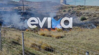 Φωτιά-σε-δασική-έκταση-στην-Κάρυστο