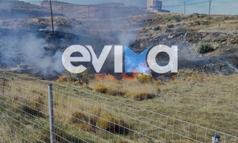 Φωτιά-σε-δασική-έκταση-στην-Κάρυστο