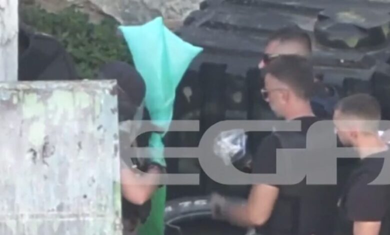 Βεντέτα-στα-Βορίζια:-Η-στιγμή-που-αστυνομικοί-βρίσκουν-και-κατάσχουν-καραμπίνα-στο-χωριό