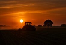 Τρίκαλα-ξανά-στο-επίκεντρο-του-σκανδάλου-ΟΠΕΚΕΠΕ-–-Τα-δημοσιεύματα-«δείχνουν»-Σκρέκα-και-Τσιάρα