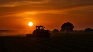 Τρίκαλα-ξανά-στο-επίκεντρο-του-σκανδάλου-ΟΠΕΚΕΠΕ-–-Τα-δημοσιεύματα-«δείχνουν»-Σκρέκα-και-Τσιάρα