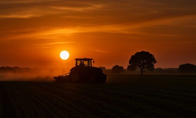 Τρίκαλα-ξανά-στο-επίκεντρο-του-σκανδάλου-ΟΠΕΚΕΠΕ-–-Τα-δημοσιεύματα-«δείχνουν»-Σκρέκα-και-Τσιάρα