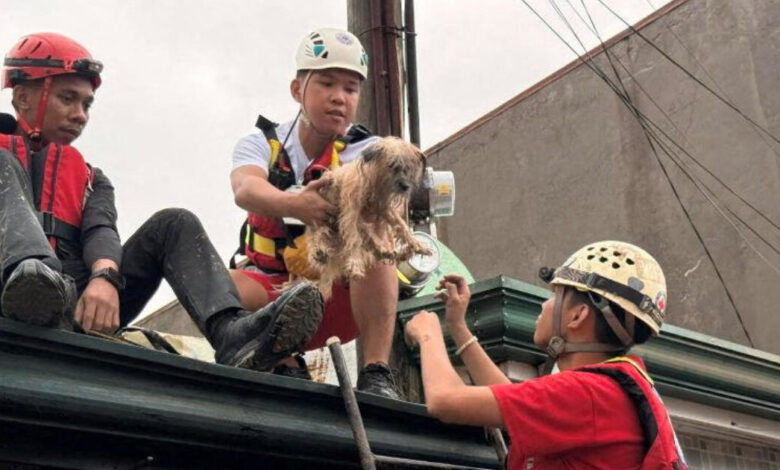 Φιλιππίνες:-Ο-τυφώνας-Καλμάγκι-προκαλεί-φονικές-πλημμύρες-και-καταστροφές-–-Οι-δρόμοι-μετατράπηκαν-σε-ποτάμια
