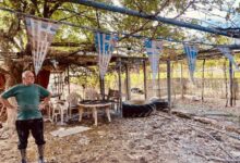 «Δεν-είναι-η-συγκυρία,-είναι-η-φθορά»:-Η-Ελλάδα-κουράστηκε-να-προσποιείται-πως-λειτουργεί