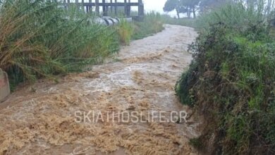 «Βούλιαξε»-η-Σκιάθος:-Ποτάμια-οι-δρόμοι-λόγω-της-κακοκαιρίας-–-Η-ΕΛΑΣ-κρούει-το-καμπανάκι-του-κινδύνου-στους-οδηγούς