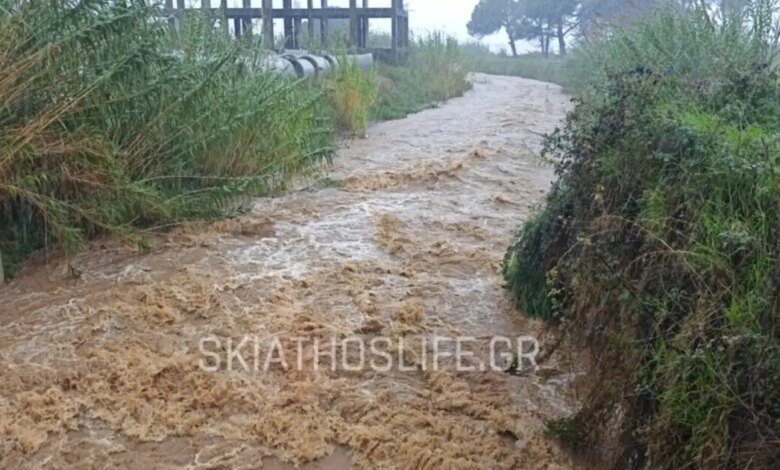 «Βούλιαξε»-η-Σκιάθος:-Ποτάμια-οι-δρόμοι-λόγω-της-κακοκαιρίας-–-Η-ΕΛΑΣ-κρούει-το-καμπανάκι-του-κινδύνου-στους-οδηγούς