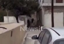 Βορίζια:-Τον-δεύτερο-ελεύθερο-σκοπευτή-που-«προδόθηκε»-στο-βίντεο-ντοκουμέντο-από-τη-στιγμή-του-μακελειού-αναζητά-η-ΕΛΑΣ