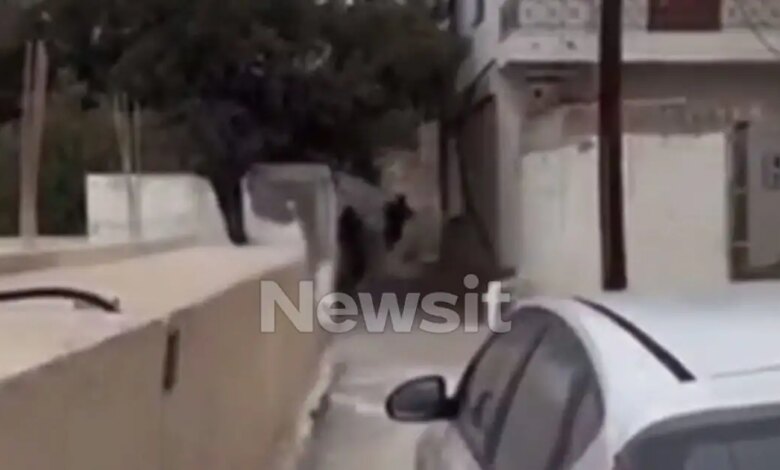 Βορίζια:-Τον-δεύτερο-ελεύθερο-σκοπευτή-που-«προδόθηκε»-στο-βίντεο-ντοκουμέντο-από-τη-στιγμή-του-μακελειού-αναζητά-η-ΕΛΑΣ