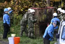Ιαπωνία:-Ο-στρατός-βγήκε…-για-κυνήγι-αρκούδας