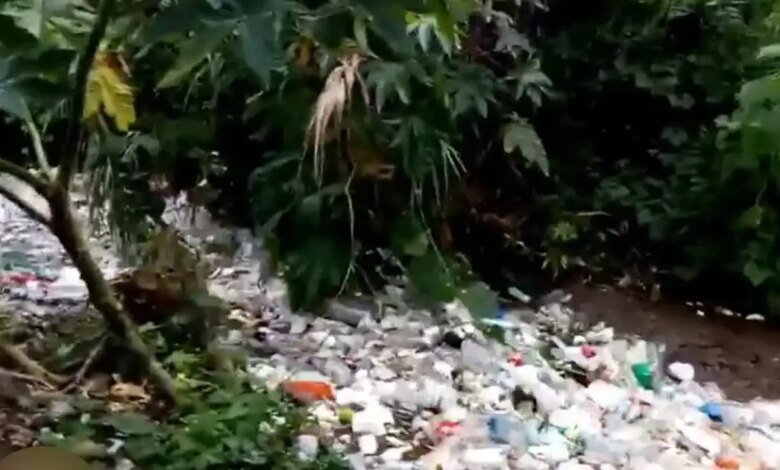 Άστρος:-Ποτάμι-σκουπιδιών-στην-Κυνουρία-–-Τόνοι-απορριμμάτων-πέφτουν-στη-θάλασσα