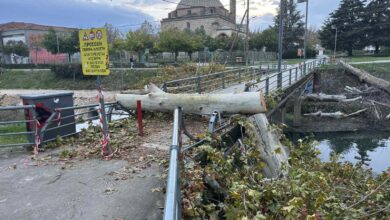 Το-δέντρο,-η-γέφυρα-και-η-πινακίδα-που-δεν-πείθει-κανέναν