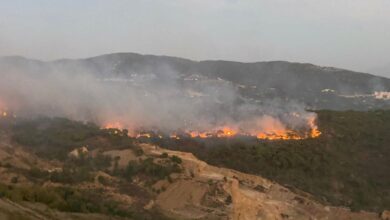Ισραηλινοί-βομβαρδισμοί-άναψαν-πυρκαγιές-σε-δασικές-εκτάσεις-του-Λιβάνου