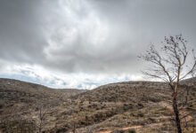 Τρίκαλα:-55χρονος-παγιδεύτηκε-σε-έρημο-ορεινό-χωριό-–-«Εγκλωβισμένος-για-7η-ημέρα»