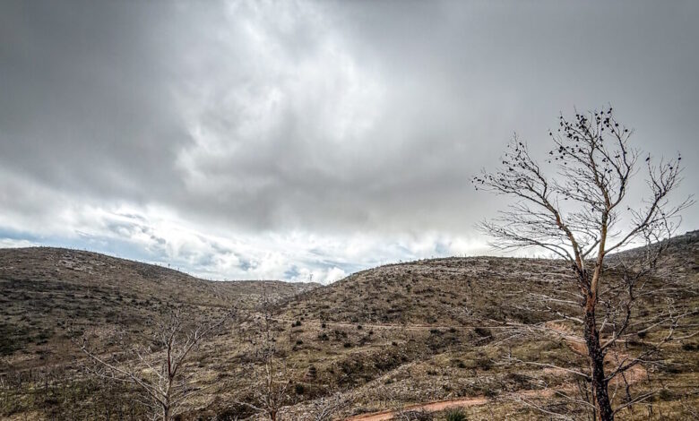 Τρίκαλα:-55χρονος-παγιδεύτηκε-σε-έρημο-ορεινό-χωριό-–-«Εγκλωβισμένος-για-7η-ημέρα»