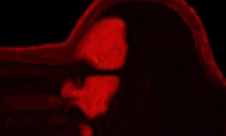 «Το-Ροκ-Του-Μέλλοντός-Μας»:-Το-πρώτο-album-για-τον-Διονύση-Σαββόπουλο-μετά-τον-θάνατό-του