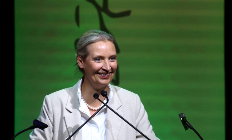 Γερμανία:-Πρώτο-και-ισχυρότερο-κόμμα-το-ακροδεξιό-afd-δείχνουν-οι-δημοσκοπήσεις-–-Καταρρέει-η-δημοτικότητα-του-Μερτς