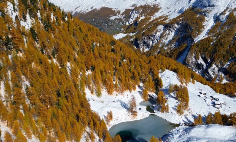 Χιλή:-Πέντε-τουρίστες-σκοτώθηκαν-σε-χιονοθύελλα-στην-Παταγονία