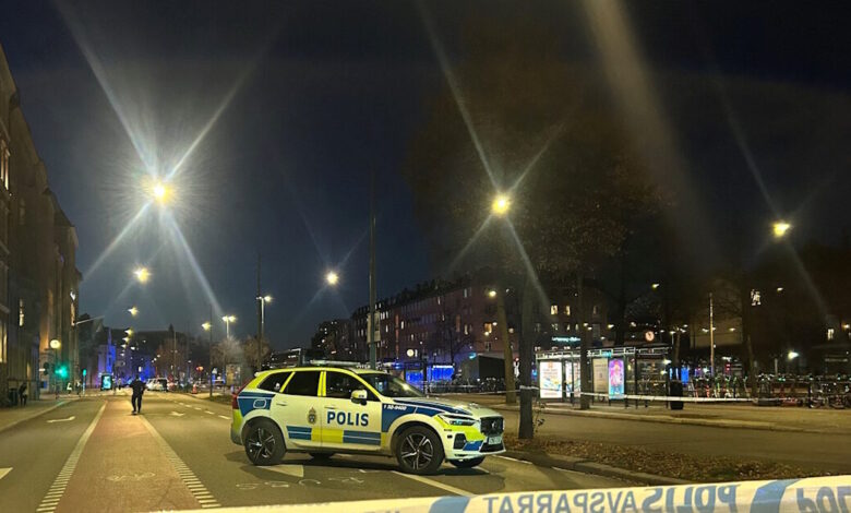 Τρομοκρατική-επίθεση-σε-φεστιβάλ-στη-Στοκχόλμη-σχεδίαζε-18χρονος-με-σουηδική-και-συριακή-υπηκοότητα