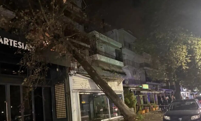 «Επέλαση»-της-κακοκαιρίας-στη-Δυτική-Ελλάδα:-Καταστροφές-από-τις-καταιγίδες,-τους-κεραυνούς-και-τις-πτώσεις-δέντρων
