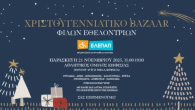 «Χριστουγεννιάτικο-bazaar-από-τις-Φίλες-Εθελόντριες-της-ΕΛΕΠΑΠ»
