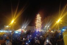 Τρίκαλα:-Φωταγωγήθηκε-το-ψηλότερο-φυσικό-χριστουγεννιάτικο-δέντρο