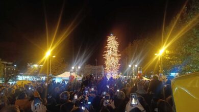 Τρίκαλα:-Φωταγωγήθηκε-το-ψηλότερο-φυσικό-χριστουγεννιάτικο-δέντρο