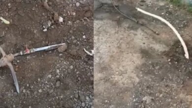 Μάνδρα:-«Πατέντα»-με-παράνομο-καλώδιο-ρεύματος-και-δίκτυο-υδροδότησης-σε-οικισμό-–-Τα-ξήλωσαν-οι-αρχές