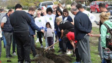 Τρίκαλα:-Φυτεύτηκαν-70-νέα-δέντρα-στη-Μεγάρχη
