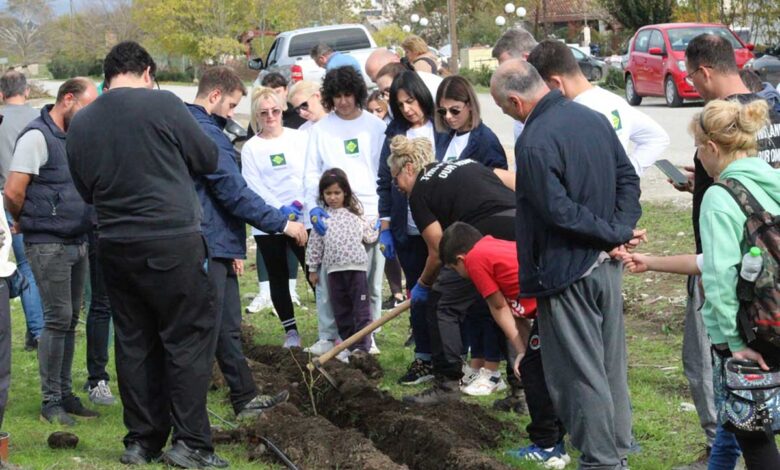 Τρίκαλα:-Φυτεύτηκαν-70-νέα-δέντρα-στη-Μεγάρχη