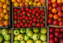 Υποχρεωτική-ανανέωση-εγγραφών-στο-Μητρώο-Εμπόρων-Οπωροκηπευτικών-έως-31/12/2025