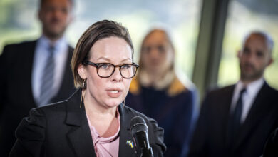 Το-να-βάζουν-οι-σκανδιναβικές-χώρες-τα-περισσότερα-για-την-Ουκρανία-«δεν-είναι-βιώσιμο»,-λέει-η-Σουηδή-υπΕξ