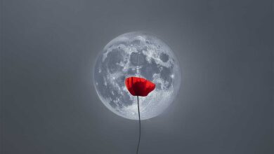 Έκθεση-φωτογραφίας-«Σταγόνες-Μελάνι-σε-Βαμβάκι»-στα-Τρίκαλα