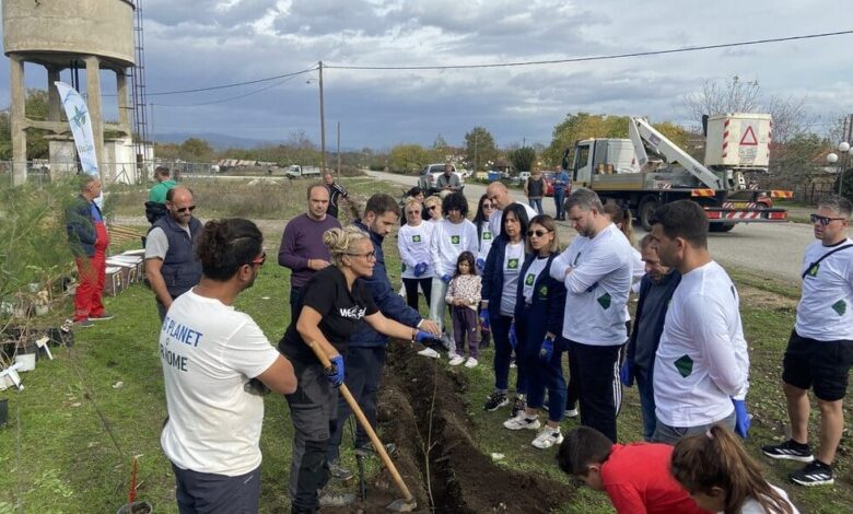 Φύτεψαν-70-δέντρα-στη-Μεγάρχη