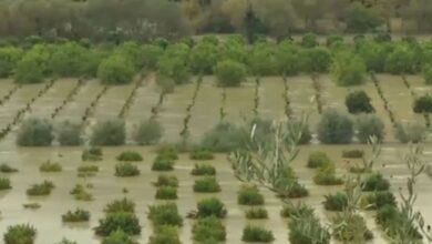 Κακοκαιρία:-Χωράφια-μετατράπηκαν-σε-λίμνες-από-την-υπερχείλιση-του-Καλαμά-στη-Θεσπρωτία-–-Ζημιές-στην-Κέρκυρα,-επικίνδυνοι-χείμαρροι-στα-Τζουμέρκα