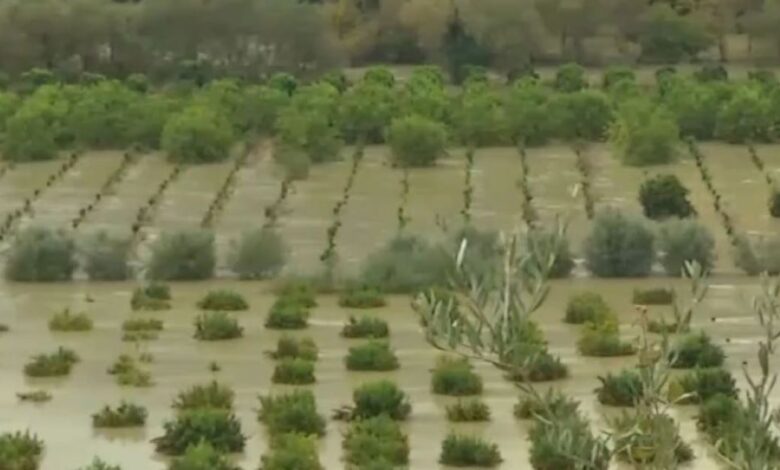 Κακοκαιρία:-Χωράφια-μετατράπηκαν-σε-λίμνες-από-την-υπερχείλιση-του-Καλαμά-στη-Θεσπρωτία-–-Ζημιές-στην-Κέρκυρα,-επικίνδυνοι-χείμαρροι-στα-Τζουμέρκα