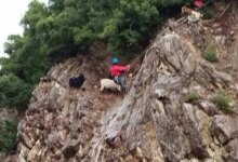 Ευρυτανία:-Μεγάλη-επιχείρηση-διάσωσης-στήθηκε-για-κατσίκες-που-είχαν-εγκλωβιστεί-σε-βράχια