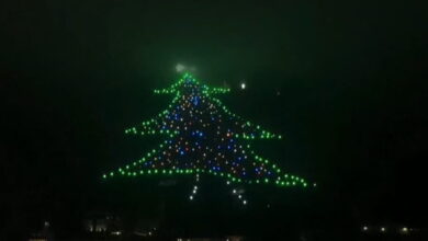 Ιταλία:-Αυτό-είναι-το-μεγαλύτερο-χριστουγεννιάτικο-δέντρο-στον-κόσμο-–-Έχει-ύψος-750-μέτρα-και-πλάτος-450