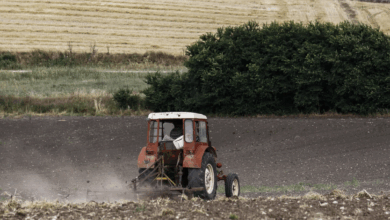 Αγροτικές-επιδοτήσεις:-Πώς-θα-γίνουν-οι-έλεγχοι-και-οι-πληρωμές-το-2025-–-Τι-αλλάζει-στο-σύστημα-το-2026