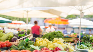 Αγρότες:-Μηδενική-ανοχή-σε-όσους-παραβιάζουν-τη-νομοθεσία-για-τα-βιολογικά-προϊόντα