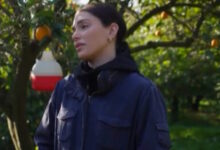 Γη-της-ελιάς-–-επόμενα-επεισόδια:-Η-Ισμήνη-κι-η-Αριάδνη-συγκρούονται-άσχημα