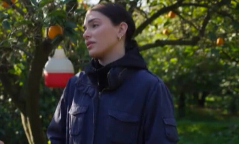 Γη-της-ελιάς-–-επόμενα-επεισόδια:-Η-Ισμήνη-κι-η-Αριάδνη-συγκρούονται-άσχημα