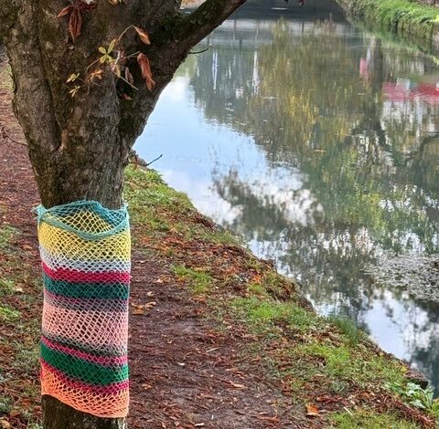 Πλεκτά-δέντρα-στον-Ληθαίο:-Χρώμα-και-γιορτινή-ζεστασιά-από-το-ΚΔΑΠ-«Ομόνοια»