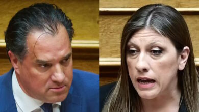 Χαμός-με-Άδωνι-Γεωργιάδη-και-Ζωή-Κωνσταντοπούλου-στη-Βουλή-για-τον-Διαμαντή-Καραναστάση:-«Είσαι-ψευταράς-και-Χίτλερ»,-«σταμάτα-ανάγωγη»