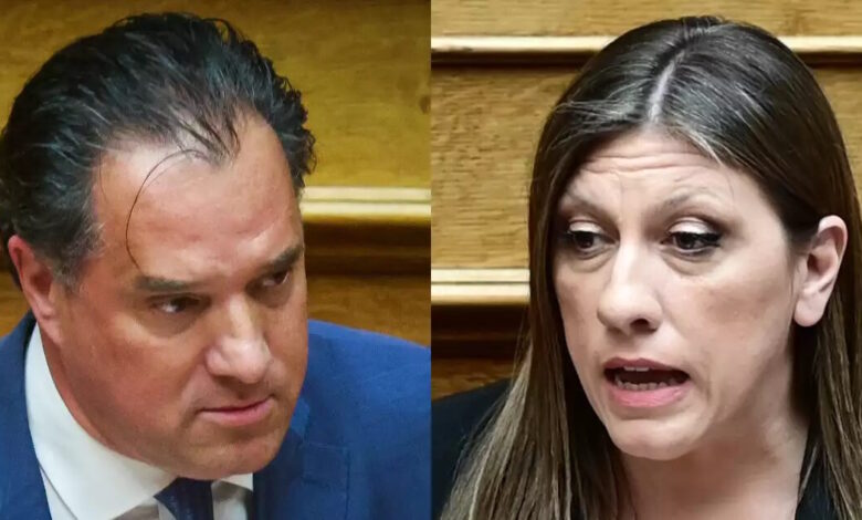 Χαμός-με-Άδωνι-Γεωργιάδη-και-Ζωή-Κωνσταντοπούλου-στη-Βουλή-για-τον-Διαμαντή-Καραναστάση:-«Είσαι-ψευταράς-και-Χίτλερ»,-«σταμάτα-ανάγωγη»