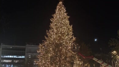 Χριστούγεννα-2025:-Όλα-έτοιμα-για-τη-φωταγώγηση-του-δέντρου-στο-Σύνταγμα-–-Μπήκαν-εκατοντάδες-λαμπιόνια