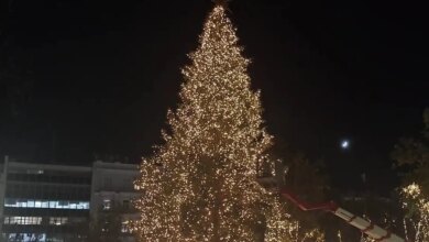 Χριστούγεννα-2025:-Όλα-έτοιμα-για-τη-φωταγώγηση-του-δέντρου-στο-Σύνταγμα-–-Μπήκαν-εκατοντάδες-λαμπιόνια