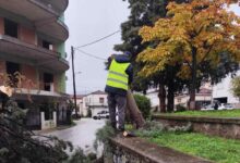 Κόπηκαν-επικίνδυνα-δέντρα-στην-πλατεία-Μητέρας-στα-Μετέωρα